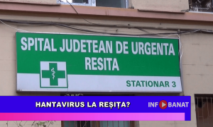 Hantavirus la Reșița?