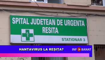 Hantavirus la Reșița?