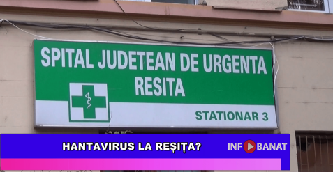 Hantavirus la Reșița?