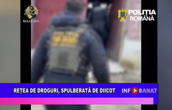 Rețea de droguri, spulberată de DIICOT