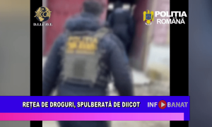 Rețea de droguri, spulberată de DIICOT