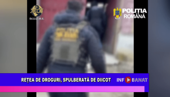 Rețea de droguri, spulberată de DIICOT