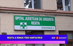 Reșița a rămas fără Hantavirus