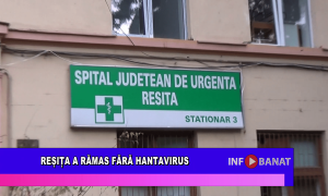 Reșița a rămas fără Hantavirus