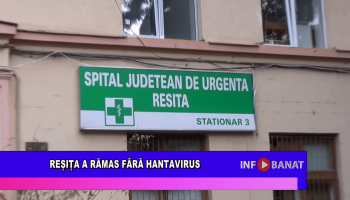 Reșița a rămas fără Hantavirus