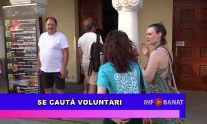 Se caută voluntari