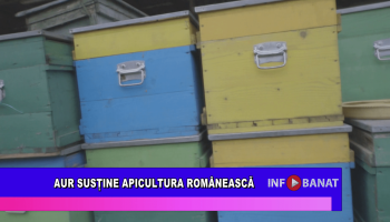 AUR susține apicultura Românească