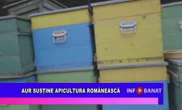 AUR susține apicultura Românească