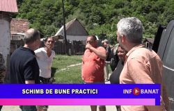 Schimb de bune practici