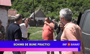 Schimb de bune practici
