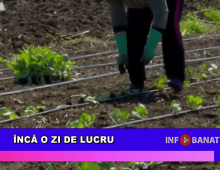 Încă o zi de lucru