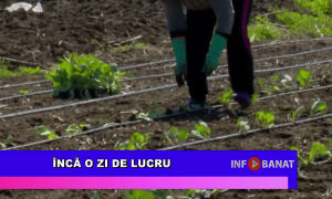 Încă o zi de lucru