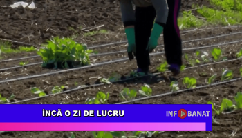 Încă o zi de lucru