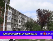 Scapă de deșeurile voluminoase