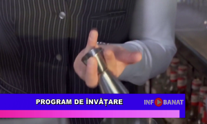 Programe de învățare