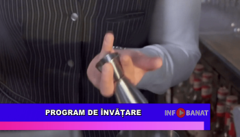 Programe de învățare