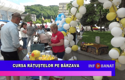 Cursa rățuștelor pe Bârzava
