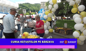 Cursa rățuștelor pe Bârzava