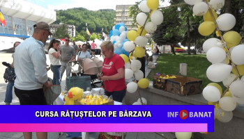 Cursa rățuștelor pe Bârzava