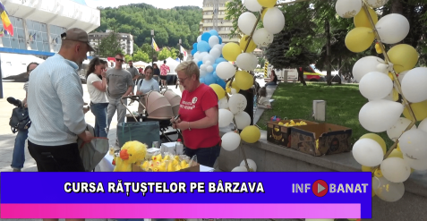 Cursa rățuștelor pe Bârzava