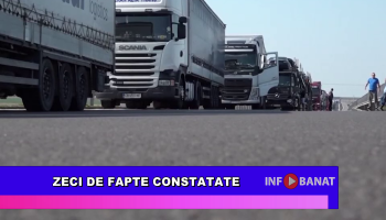 Zeci de fapte constatate
