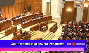 AUR: ipocrizie marca PNL PSD UDMR
