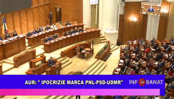 AUR: ipocrizie marca PNL PSD UDMR