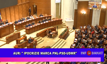 AUR: ipocrizie marca PNL PSD UDMR