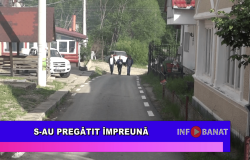 S-au pregătit împreună