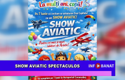 Show aviatic spectaculos