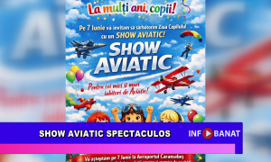 Show aviatic spectaculos