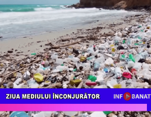 Ziua Mediului Înconjurător