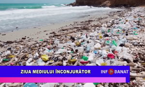 Ziua Mediului Înconjurător