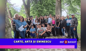 Carte, artă și Eminescu