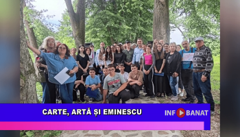 Carte, artă și Eminescu