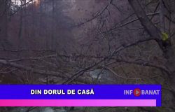 Din dorul de casă
