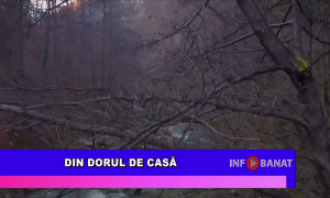 Din dorul de casă