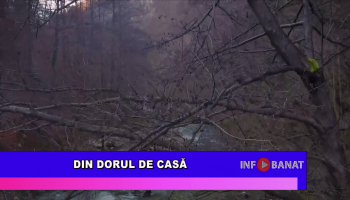 Din dorul de casă
