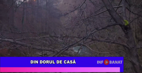 Din dorul de casă