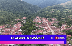 La Albinuța Almăjană
