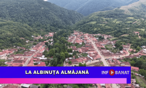 La Albinuța Almăjană