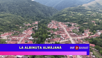La Albinuța Almăjană