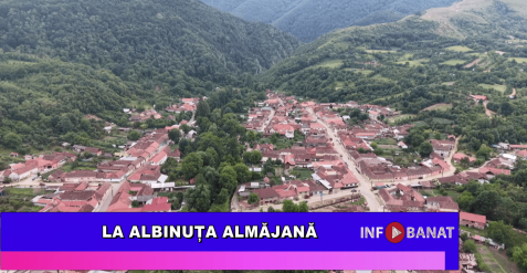 La Albinuța Almăjană