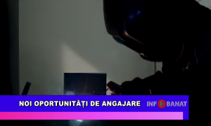 Noi oportunități de angajare