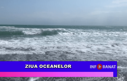 Ziua Oceanelor