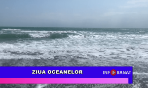 Ziua Oceanelor