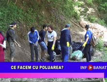 Ce facem cu poluarea?