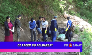 Ce facem cu poluarea?