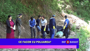 Ce facem cu poluarea?