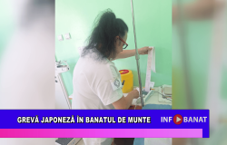 Grevă japoneză în Banatul de Munte